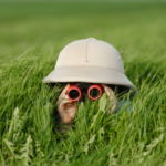 Wij zijn op zoek naar jou!